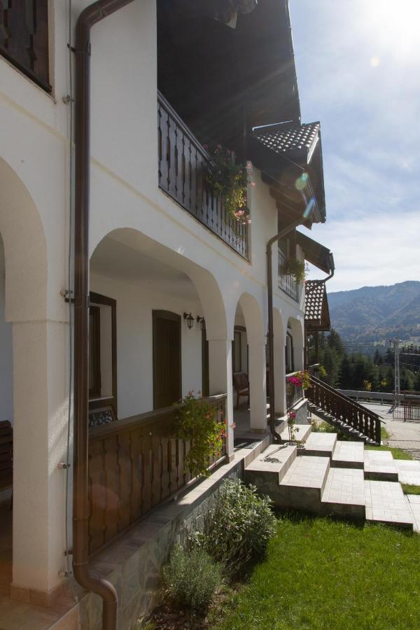 Guest house Pensiunea Encian 4*